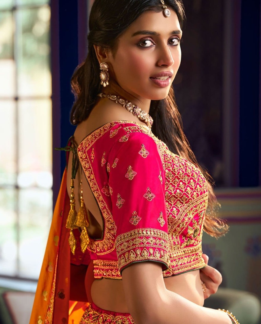 10380 - Adorable Embroidered Banarasi Multi Colour Designer Lehenga Choli